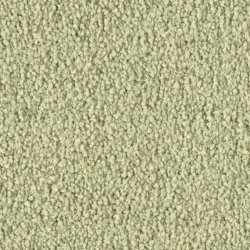 Vorwerk Violetta 8L38 – Draufsicht Teppichboden Farbe 8L38 ohne Badge